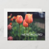We verplaatsen  Tulip Floral-ladingen Aankondigingskaart (Voorkant / Achterkant)
