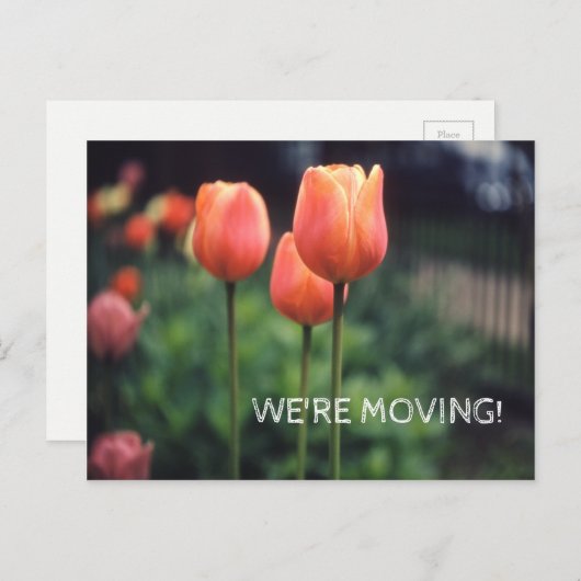 We verplaatsen  Tulip Floral-ladingen Aankondigingskaart (Voorkant / Achterkant)