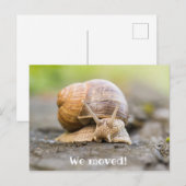 We verplaatsten ansichtkaart met slak briefkaart (Voorkant / Achterkant)