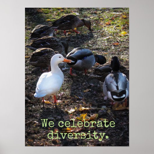 We vieren Diversity Poster Print (Voorkant)