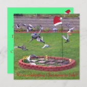We vieren kerst in juli, vogels nodigt uit (Voorkant / Achterkant)