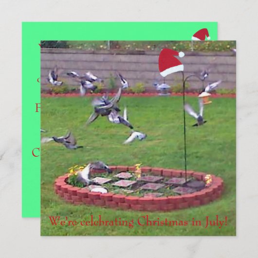 We vieren kerst in juli, vogels nodigt uit (Voorkant / Achterkant)