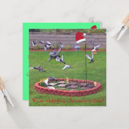 We vieren kerst in juli, vogels nodigt uit