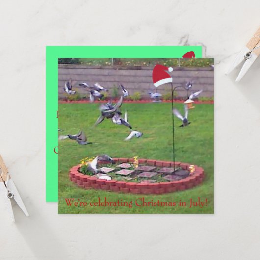 We vieren kerst in juli, vogels nodigt uit (Voorkant / Achterkant in situ)