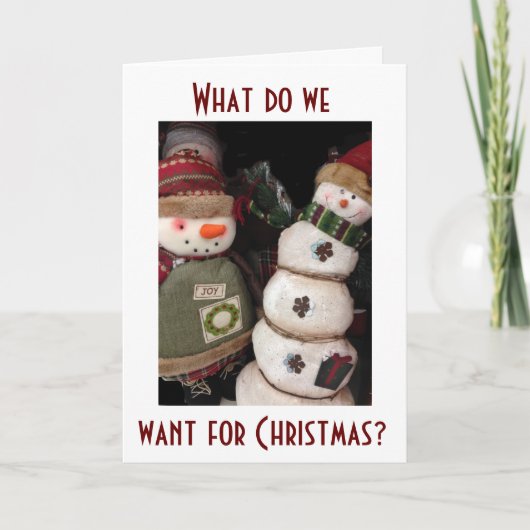 WE WILLEN DAT JE EEN WONDERFUL CHRISTMAS HEBT FEESTDAGEN KAART (Voorkant)