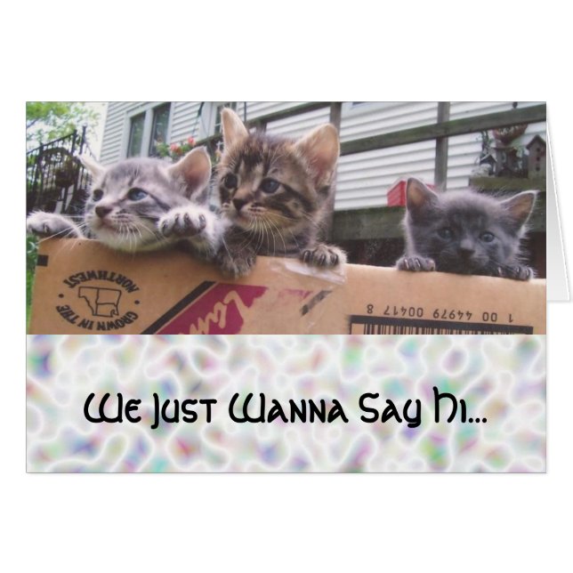 We willen gewoon zeggen... (Voorkant Horizontaal)