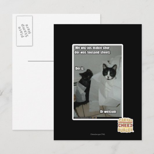 We willen gewoon zorgen briefkaart (Voorkant / Achterkant)