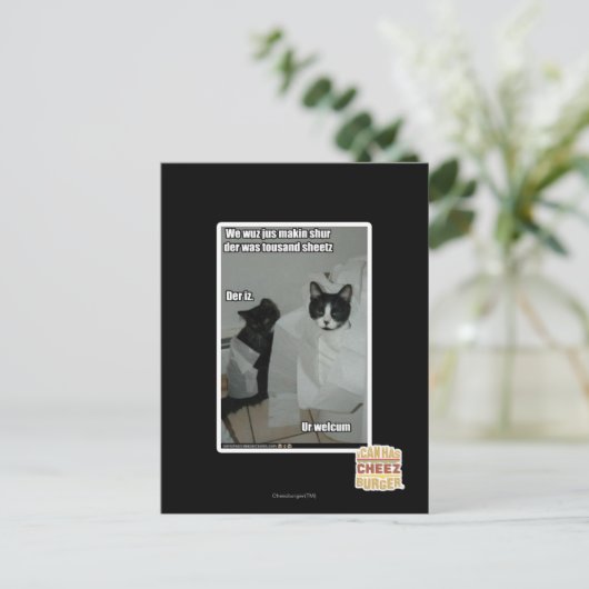 We willen gewoon zorgen briefkaart (Staand voorkant)