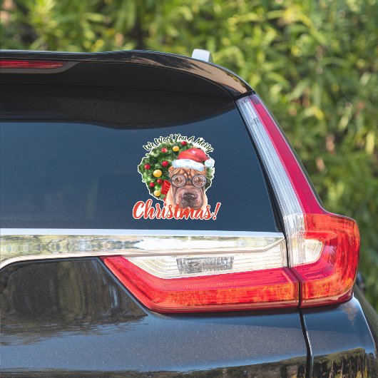We willen jullie graag kerstcadeau met bril. sticker (Auto Zijkant)