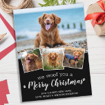 We willen jullie graag kerstcadeaufoto's briefkaart<br><div class="desc">We wilden je een prettige kerst geven. Verstuur leuke feestvreugde met deze superschattige persoonlijke, persoonlijke, persoonlijke feestelijke fotokaart. Vrolijk kerstwensen van de hond met schattige pootafdrukken in een leuk modern fotocollage-ontwerp. Voeg de foto's of familiefoto's van uw hond toe met de hond, en personaliseer met familienaam, bericht en jaar. Deze...</div>