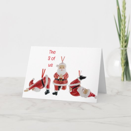 WE WILLEN MET Z'N DRIEËN VROLIJK KERSTFEEST ZEGGEN FEESTDAGEN KAART (Voorkant)