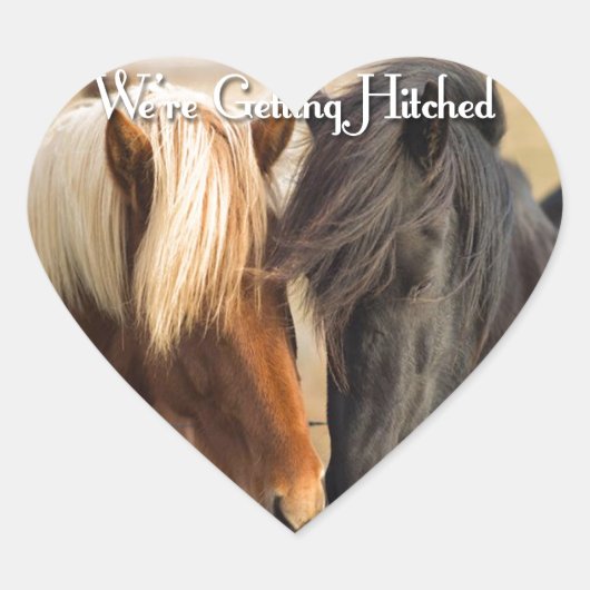 We worden getikt (twee paarden) hart sticker (Voorkant)