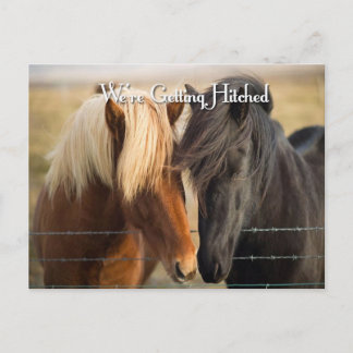 We worden getikt (twee paarden) uitnodiging briefkaart