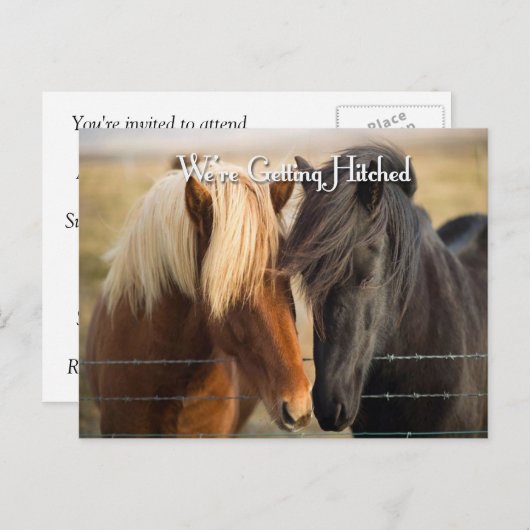 We worden getikt (twee paarden) uitnodiging briefkaart (Voorkant / Achterkant)