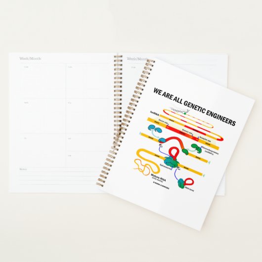 We zijn allemaal Genetische Engineers RNA Splicing Planner (Display)