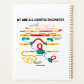 We zijn allemaal Genetische Engineers RNA Splicing Planner (Achterkant)