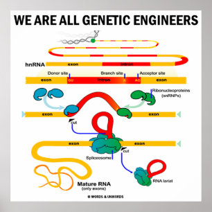 We zijn allemaal genetische ingenieurs (genensplic poster