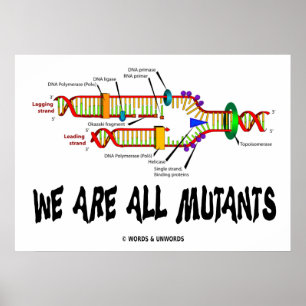 We zijn allemaal mutanten (DNA-replicatie) Poster