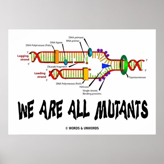 We zijn allemaal mutanten (DNA-replicatie) Poster (Voorkant)