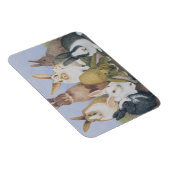 We zijn allemaal oorlogen magneet (Rechterzijde)