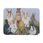 We zijn allemaal oorlogen magneet (Horizontaal)