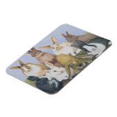 We zijn allemaal oorlogen magneet (Linkerzijde)