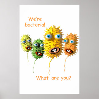 We zijn bacteriën poster