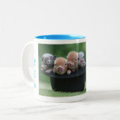 We zijn de laatste vier minivarkens tweekleurige koffiemok (Voorkant links)