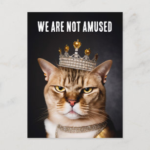 We zijn geen geamuseerde koninklijke bruinkat met  briefkaart