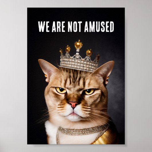 We zijn geen geamuseerde koninklijke bruinkat met poster (Voorkant)