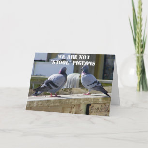 WE ZIJN GEEN STOOLPIGEONS KAART