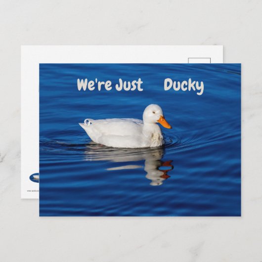 We zijn gewoon Ducky Briefkaart (Voorkant / Achterkant)