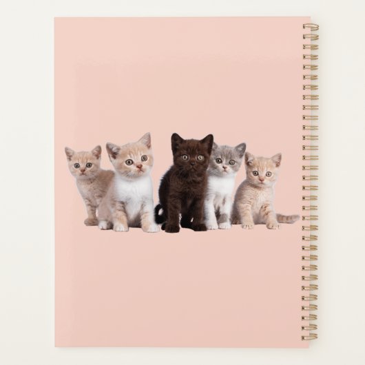 We zijn gewoon Kitten rond de agenda (Achterkant)