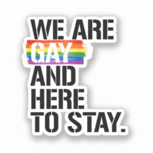 We zijn homo en hier om te blijven sticker