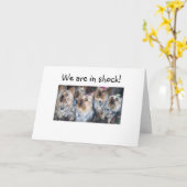 WE ZIJN IN SHOCK = 40ste VERJAARDAG HUMOR Kaart (Gele Bloem)