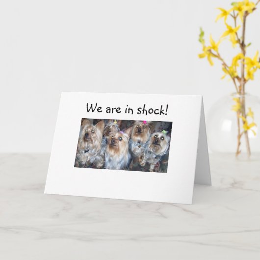 WE ZIJN IN SHOCK = 40ste VERJAARDAG HUMOR Kaart (Gele Bloem)