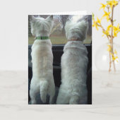 WE ZIJN NET VOORBIJ GEREDEN OM EEN GELUKKIGE 16E V KAART (Gele Bloem)