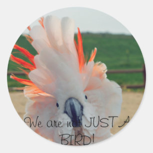 We zijn niet alleen een BIRD! Ronde Sticker
