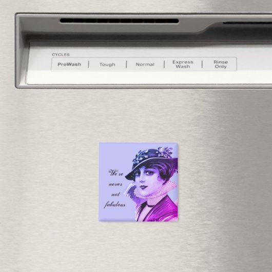 We zijn nooit Fabulous Magnet (Insitu (Vaatwasser))