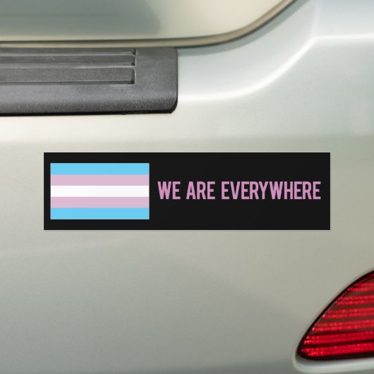 We zijn overal sticker (transgender) (Op auto)