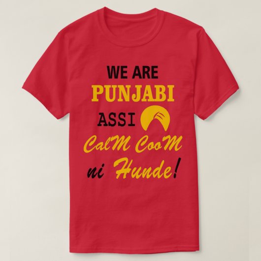 WE ZIJN PUNJABI T-SHIRT (Design voorkant)
