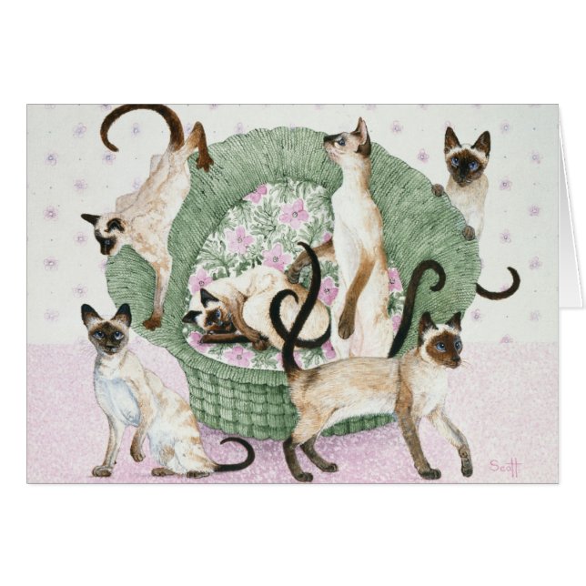 We zijn Siamese als je wilt (Voorkant Horizontaal)