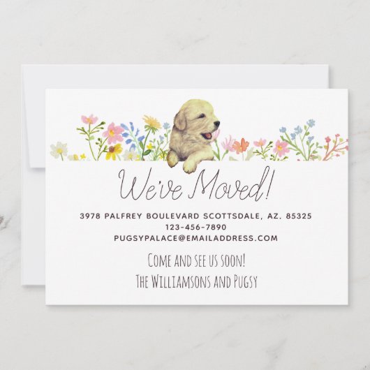 We zijn verhuisd. Aankondiging Golden Retriever Pu (Voorkant)