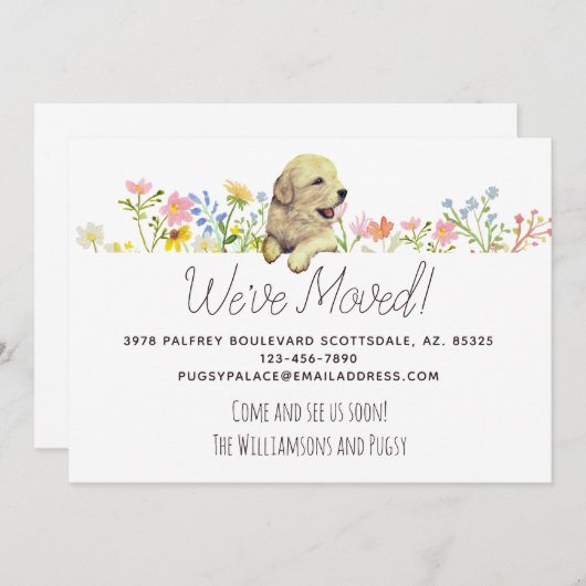 We zijn verhuisd. Aankondiging Golden Retriever Pu (Voorkant / Achterkant)