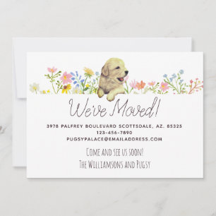 We zijn verhuisd. Aankondiging Golden Retriever Pu