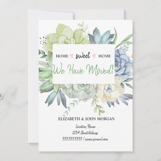 We zijn verhuisd, cactus succulents polka dots (Voorkant)