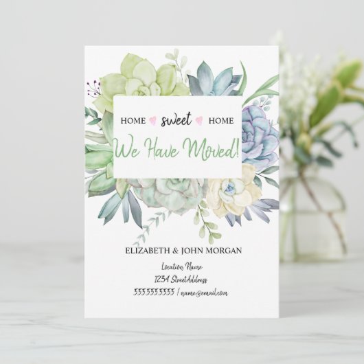 We zijn verhuisd, cactus succulents polka dots (Staand voorkant)