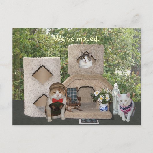 We zijn verhuisd naar een groter huis aankondigingskaart (Voorkant)