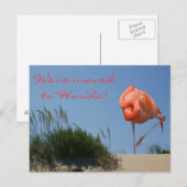 We zijn verhuisd naar Florida! Strand Flamingo Bri Aankondigingskaart (Voorkant / Achterkant)