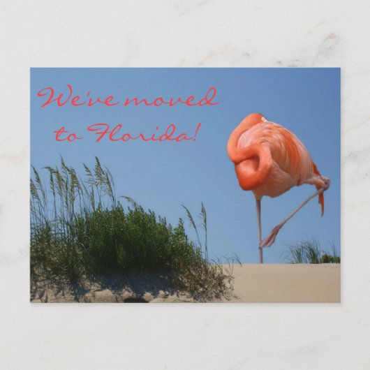 We zijn verhuisd naar Florida! Strand Flamingo Bri Aankondigingskaart (Voorkant)